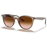 Ray-Ban RB4305 Rounded Sunglasses for Men for Women +BUNDLE with ACCESSORY EYEWEAR KIT
