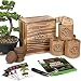 Bonsai Tree Seed Starter Kit - Mini Bonsai Plant Growing Kit, 4 Types of Seeds, Potting Soil, Pots, Pruning Shears Scissor Tool, Plant Markers, Wood Gift Box, Indoor Garden Gardening Gifts Idea