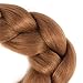 Alissa Jumbo Braiding Hair Extensions High Temperature Kanekalon Synthetic Ombre Twist Hair Multiple Tone Colored Jumbo Braiding Hair (24'', 30#)