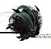 BABEYOND Art Deco 1920s Flapper Headpiece Roaring 20s Great Gatsby Feather Headband 1920s Flapper Gatsby Accessories (Black)
