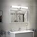 ZUZITO LED Vanity Light 24.2
