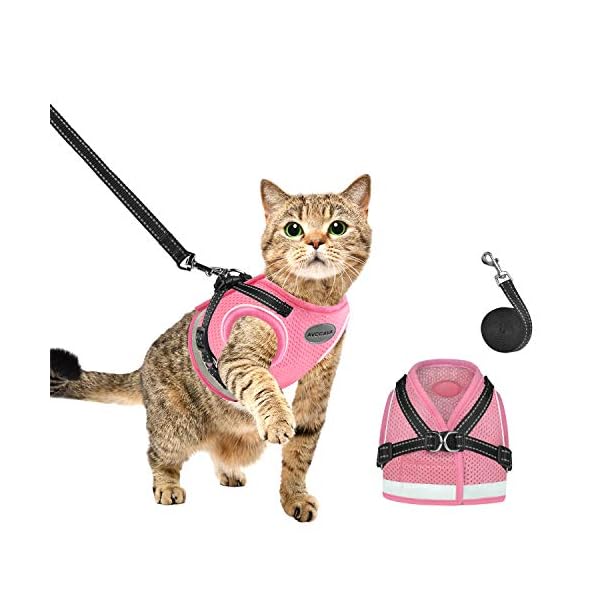 pink cat harness