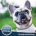 Flea And Tick Collar For Dogs | Prevents And Removes Fleas, Ticks, Lice And Mosquitos In 24 Hours | 8 Months Protection | 100% Natural Essential Oil Flea And Tick Prevention For Dogs
