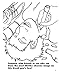 Coloring for Grown-Ups College Companion