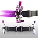 Gear Beast Dual Pocket Running Belt Fanny Pack, ID And Key Holder, Slim Adjustable Elastic Sport Travel Waist Pack Holds Cell Phones Including iPhone X 8 7 6 6s Plus Galaxy S6 S7 Edge S8 Plus Note 8