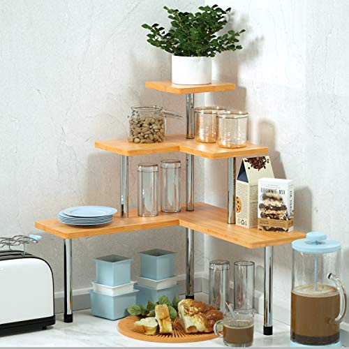 Kitchen Countertop Storage Shelves
