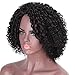 AISI HAIR Natural Afro Kinky Curly Wig Black Curly Synthetic Hair Wig Short Afro Curly Wig Heat Resistant Fiber Hair Side Part Wig for Women