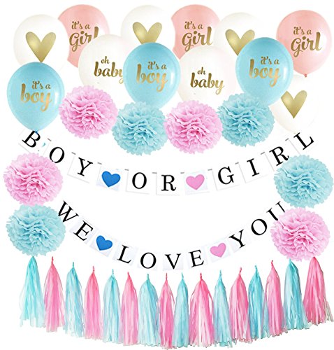 image for DeLaiWen Gender Reveal Party Supplies Pink Blue Ballons/Tissue Pom Pom