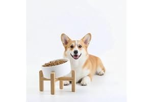 Petygooing White Raised/Elevated 15°Slanted Ceramic Dog Bowl for Small Breeds,Tilted Anti Slip Pet Feeding Bowl,Food Water Dish with Stand for Cats and Small Dogs Puppy 13.5 OZ (5.1In / 1.7 Cups)