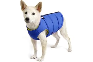 Gooby Padded Vest Dog Jacket - Solid Blue, Large - Warm Zip Up Vest Fleece Jacket with Dual D Ring Leash - Winter Water Resistant Sweater - Clothes for Small and Medium Dogs