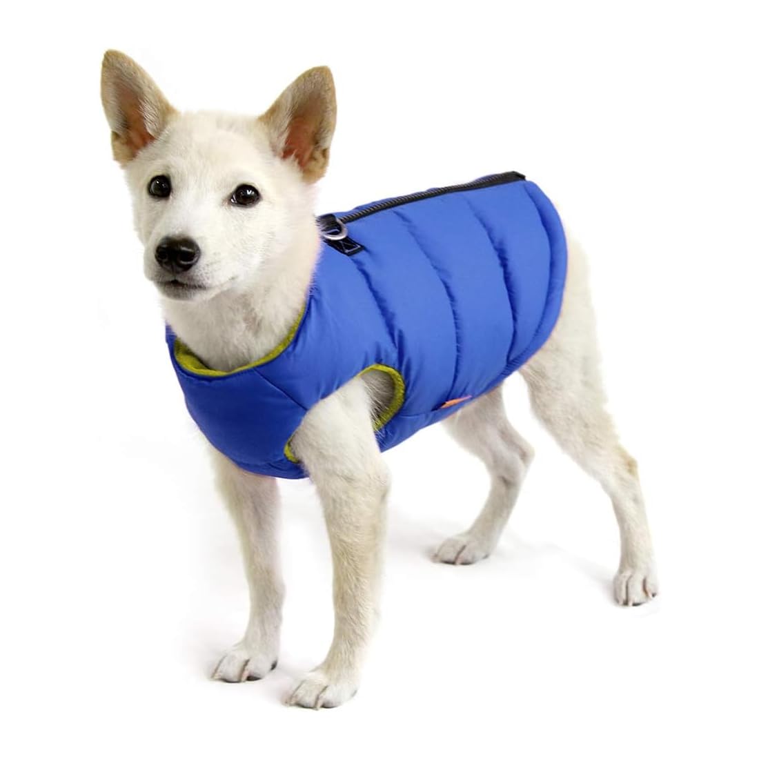 Gooby Padded Vest Dog Jacket - Solid Blue, X-Large - Warm Zip Up Vest Fleece Jacket with Dual D Ring Leash Water Resistant for Small to Medium Dogs Image