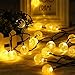 GDEALER Solar String Lights 20ft 30 LED Warm White Crystal Ball Waterproof Outdoor String Lights Solar Powered Globe Fairy String Lights for Garden, Home, Landscape, Christmas Decoration (1)