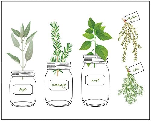 Herb Garden 8" x 10" Wall Print