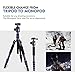 Moman Travel Camera Tripod with 360° Panorama Ball Head, 13.8-61.4 Inches Foldable Height,33.7 lbs Max Payload, Aluminum Alloy Tube for All DSLR & SLR Camera Camcorder