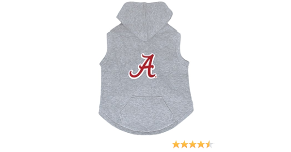 grey harvard sweatshirt