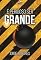 Livro É Perigoso  Ser Grande