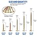Glarks 250Pcs 5 Size #10 Coarse Thread Phillips Drywall Screws with Bugle Head for Drywall Sheetrock, Ceiling and Wood - Zinc Plated Carbon Steel