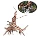 LAYs Aquarium Driftwood Wood Trunk Plant Stump for Fish Tank Ornament Landscaping (L)