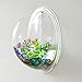 Kathson Home Decoration Pot Wall Hanging Mount Bubble Aquarium Bowl Fish Tank Aquarium (Mirror, 19.519.5cm)