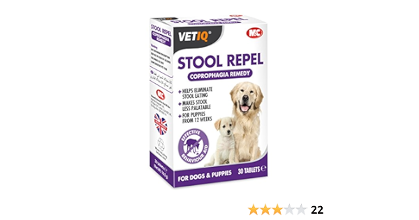 self timer dog feeder