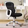BERLMAN Mid Back Mesh Office Chair Adjustable Height Desk Chair Swivel Chair Computer Chair with Armrest Lumbar Support…