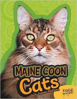 Maine Coon Cats All About Cats Joanne Mattern 9781429666312