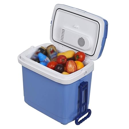 Dhrfyktu Mini Nevera, Compactos y Calentadores Personales ...