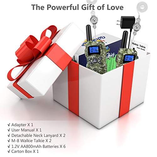 6 Wishouse+Rechargeable+Talkabout+Birthday+Camouflage