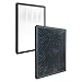 Climestar Premium H13 Grade True HEPA and Pre-Filters Replacement Compatible with Alexapure Breeze Air Purifiers AP-B102 and 3049 filter set