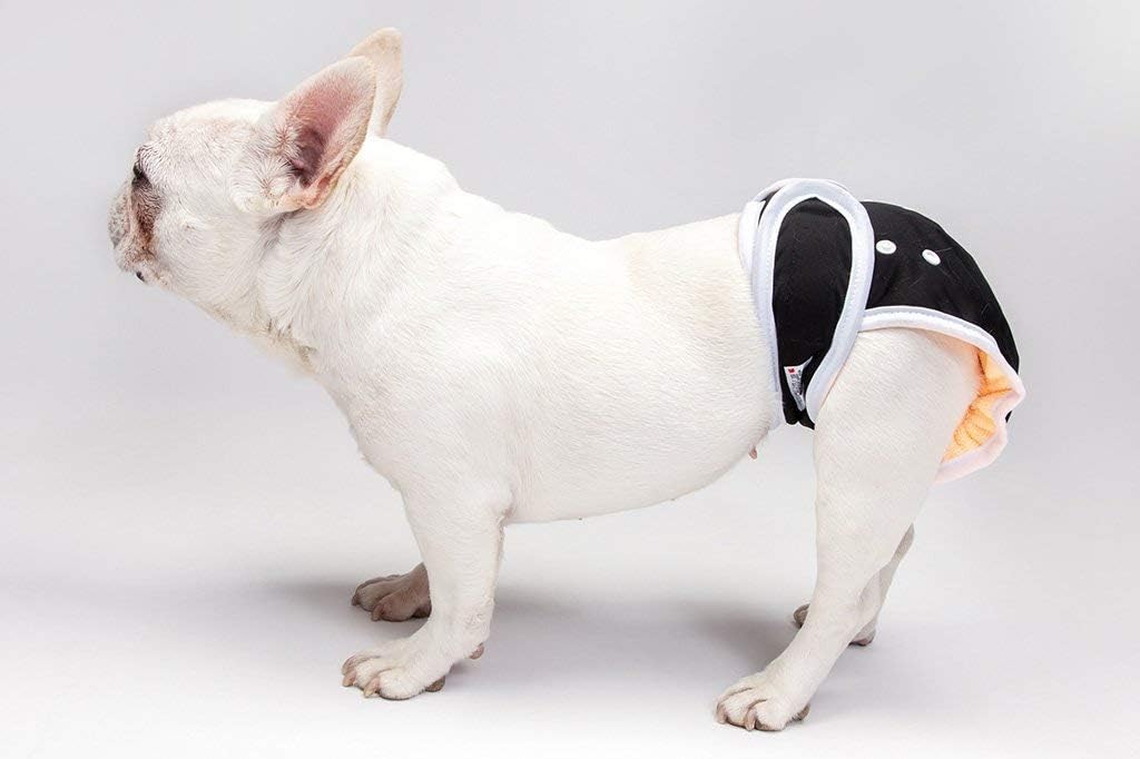diapers for dogs without tails