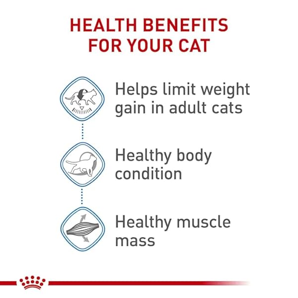 ROYAL CANIN FELINE CARE NUTRITION WEIGHT CARE ADULT DRY CAT FOOD, 3 LB BAG