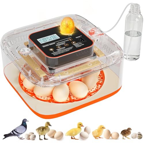 QVKHPCL Egg Incubator