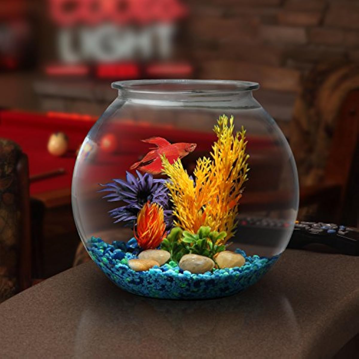Koller Products 1Gallon Globe Fish Bowl, 1 Gallon eBay