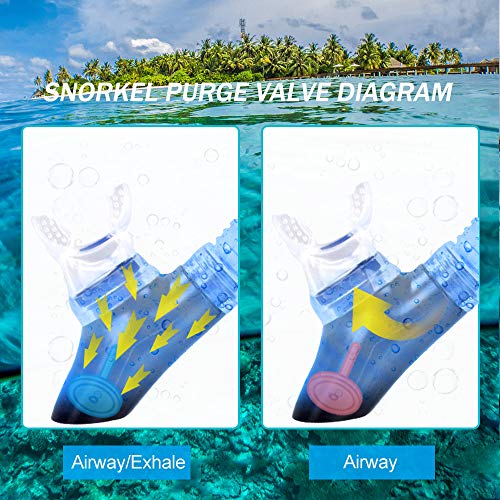 Snowledge Snorkel Mask, Scuba Diving Mask with Tempered Glass, Impact Resistant Snorkel Set, Leak-Proof Dive Mask, Carry Bag Included