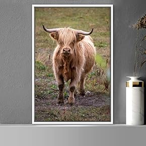 signwin Framed Canvas Wall Art Bison Animals Expressive...