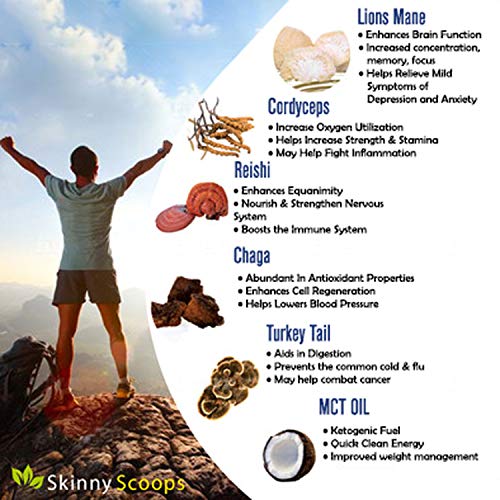 Skinny Scoops Organic Mushroom Extract Powder + MCT Oil Powder - Nootropic Brain Supplement & Immune System Booster - USDA Lions Mane, Cordyceps, Reishi, Turkey Tail, Chaga - MCT for Ketone Energy - Thumbnail 7