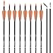 Carbon Arrow Practice Hunting Arrows with Removable Tips for Archery Compound & Recurve & Traditional Bow (Pack of 12)