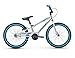 Raleigh Bikes Kids MXR 20 Bike, One Size, Silver