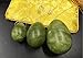 Set of 3 Natural Green Jade Egg,MUIIGOOD Yoni Egg,Kegel Balls,Massage Stones for Kegel Exercise Pelvic Floor Muscles Vaginal Exercise Health Care Ben Wa Balls for Women Gift