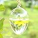 Soledi Hanging Round Egg Glass Clear Flower Vase Hydroponic Container Home Decor