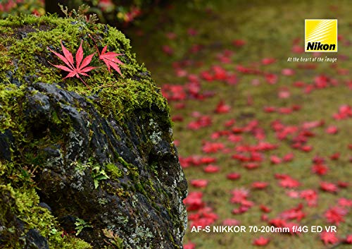 Nikon 70-200 mm/F 4,0G ED VR AF-S Objektiv (Nikon F-Anschluss,True) – Bild 6