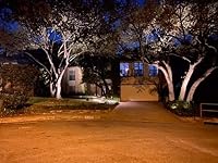 Review Image by Jane Benjamin Jane Benjamin