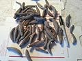 Erlin Dried Sea Cucumber Small Floridana 5 Lbs