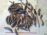 ERLIN DRIED SEA CUCUMBER SMALL FLORIDANA 5 LBS