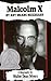 Malcolm X: By Any Means Necessary by Walter Dean Myers
