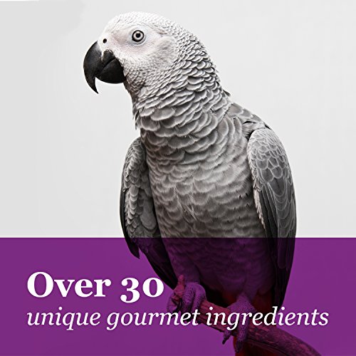 Tropical Carnival Gourmet Macaw Food – Big Bites Daily Diet with Probiotics - Image 7