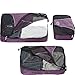 eBags Classic 6 Piece Packing Cube Set (Eggplant)