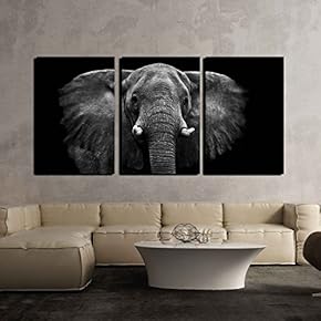 Magnificent Elephant On Black Background - 3 Panel Canvas Art