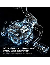 KastKing Valiant Eagle   Carrete giratorio Emerald Eagle Edition, 6.2: 1 Hi Speed ??Gear Ratio, Carrete de pesca de agua dulce y salada, Bobina lista para la trenza, 10 + 1 Shieled de acero inoxidable BB