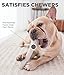 Petstages NewHide Alternative Dog Chew Toy, XS
